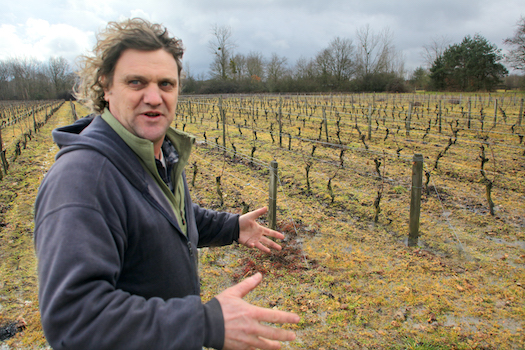 I vini di Christian Venier (Loira) importati da Stefano Sarfati