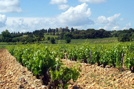 Domaine Charvin, grandi Châteauneuf-du-Pape importati da Stefano Sarfati