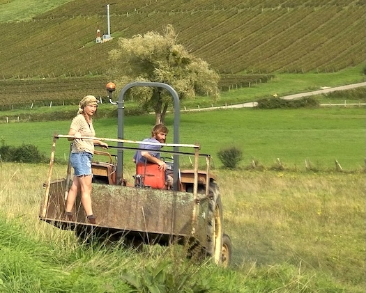 La Terre Penchée, Étienne Gasnier vigneron nel Revermont, Jura. Vini importati da Stefano Sarfati.